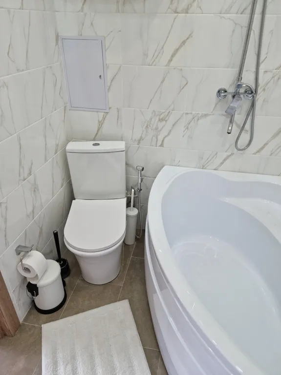 Светлая шале евро-трёшка