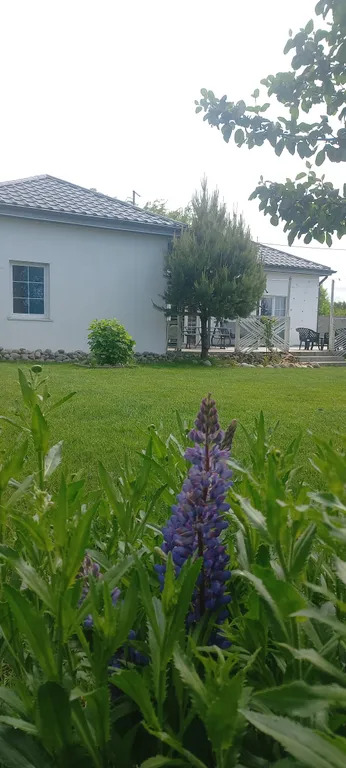 Дом с террасой на берегу моря