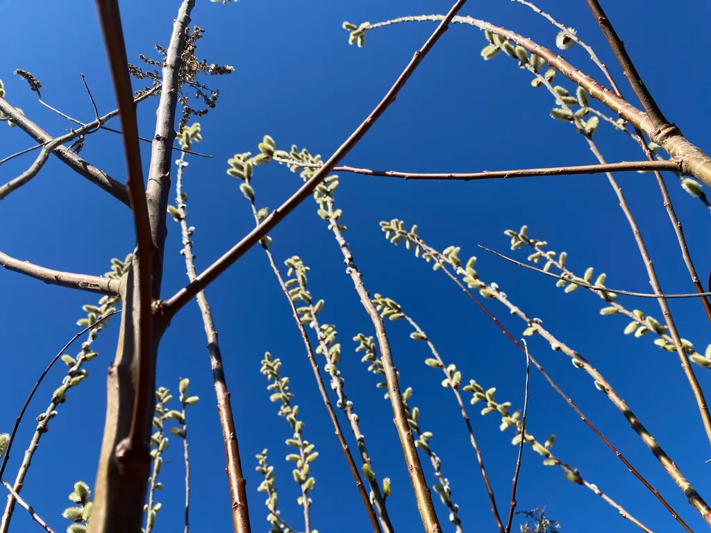 Тихий спокойный отдых у моря с шикарным видом, огромный зеленной двор
