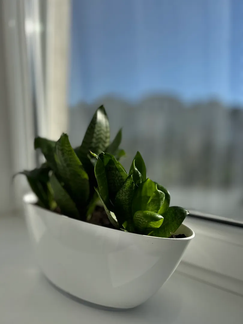 Фото