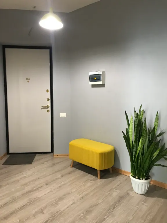 Большая светлая квартира-студия