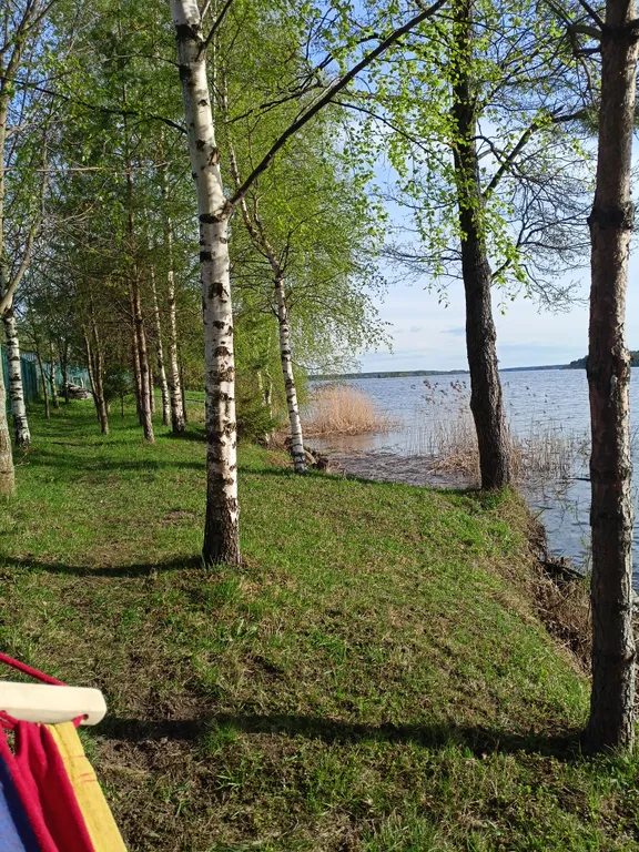 Дом на берегу Волги