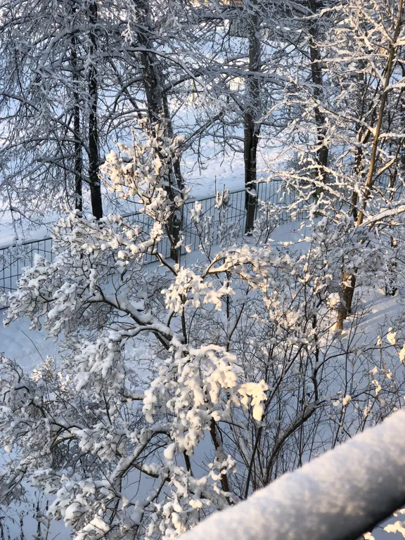 Центр Юго-Запада у Площади Конева