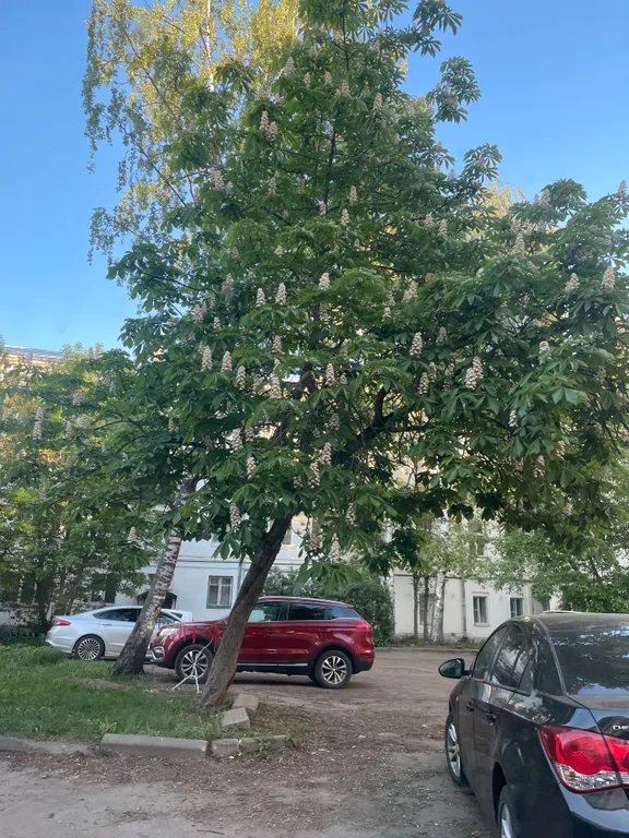 Уютная квартира с видом на реку Волга в центре