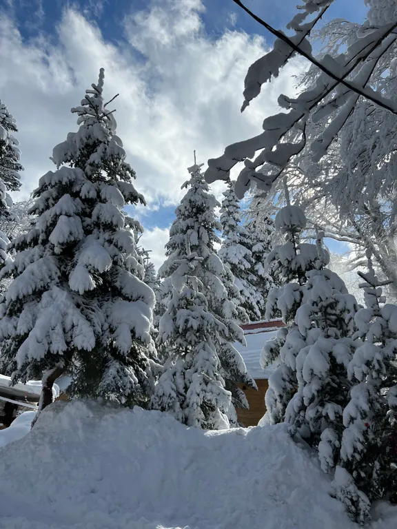 Горы, лес и уют — ваш отдых в Архызе начинается здесь