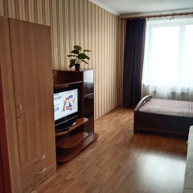 Просторная квартира у метро