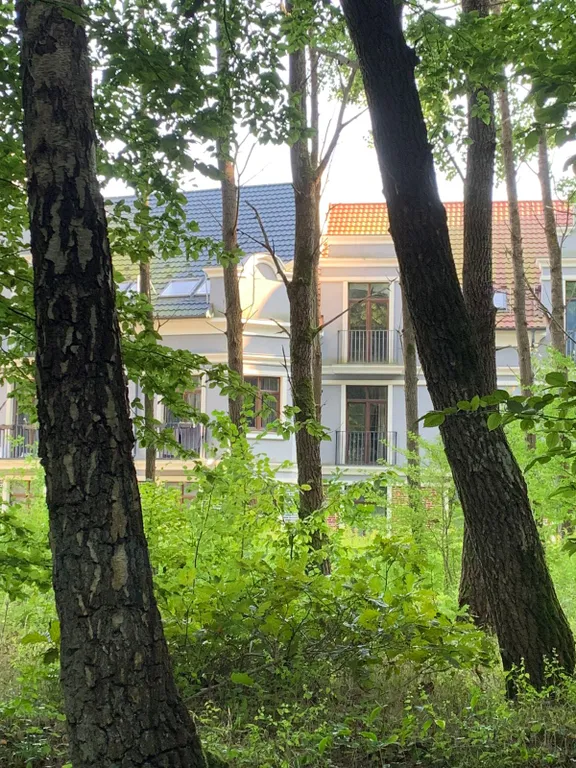 Апартаменты в Светлогорске