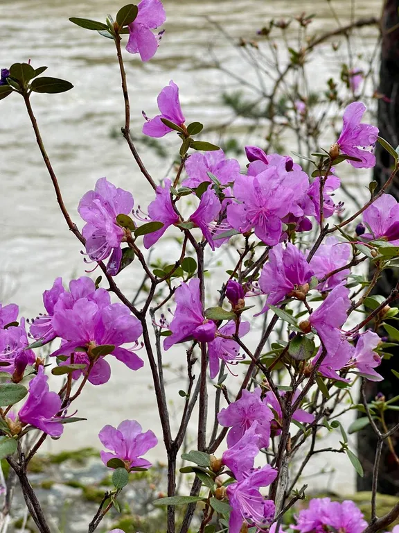 Скандинавский домик