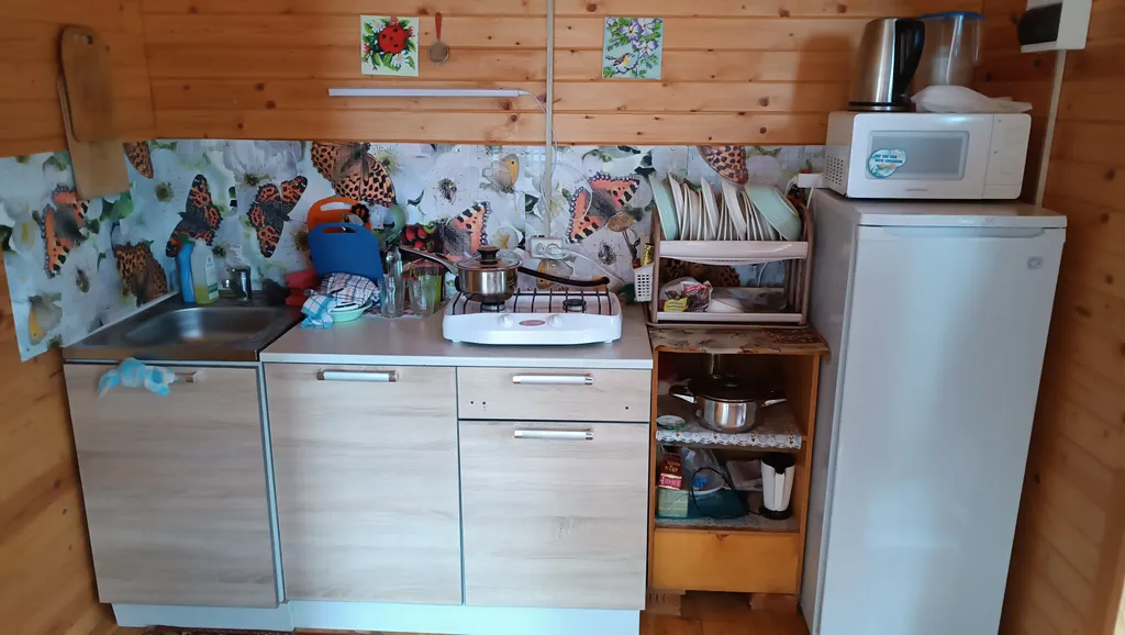 Коттедж Дом на озере Волго со своим пирсом — Ланино