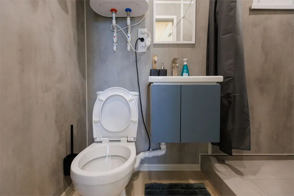 Коттедж 1-комнатный Дом — Бор