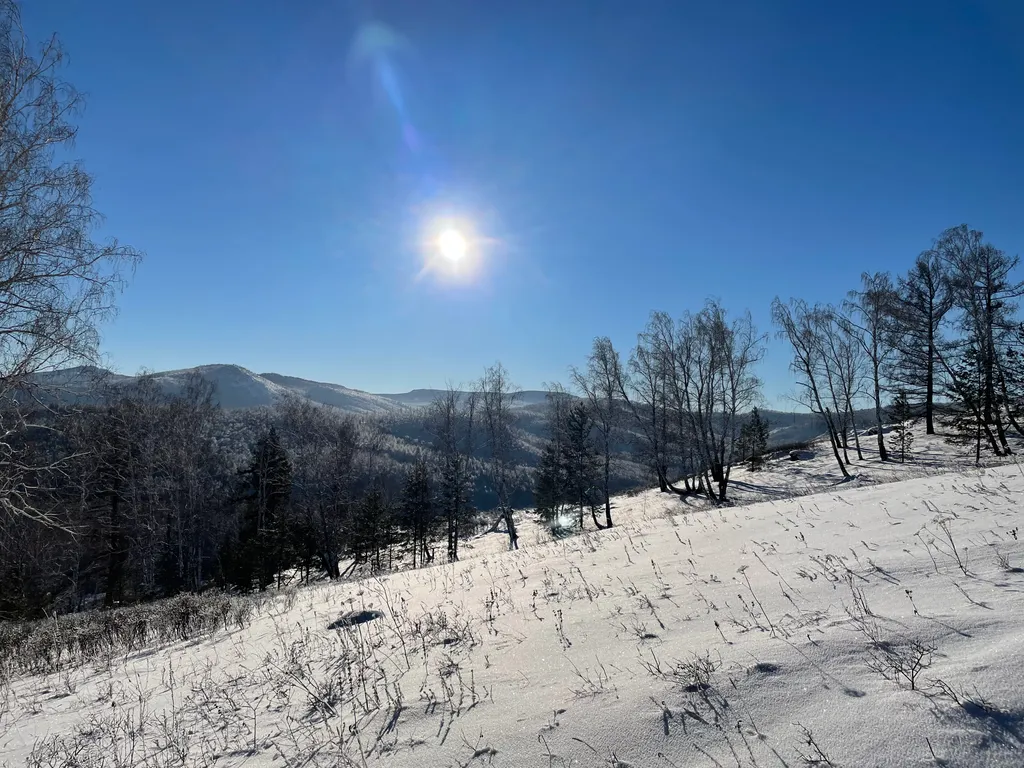 Теремок в горах бревенчатый дом и баня