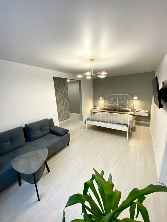 Двухкомнатная квартира в центре города