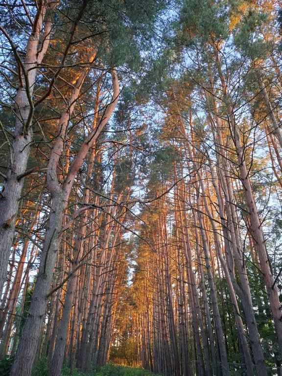 Коттедж Дом на 4х у берега водохранилища — Можайск