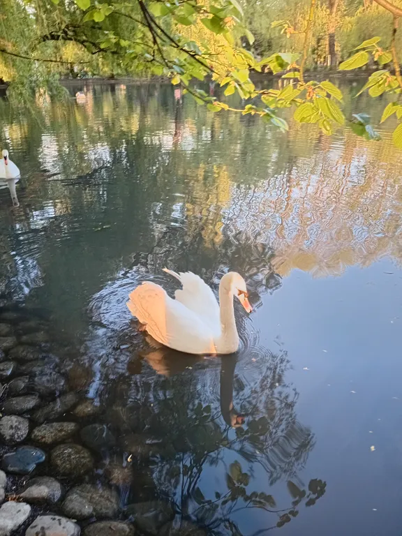 Квартира Квартира в самом сердце Владикавказа. — Владикавказ