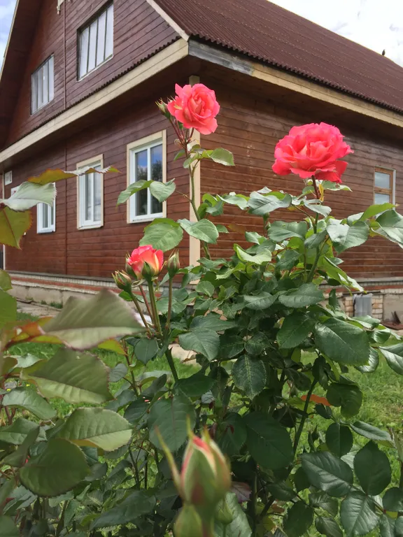 Комната в частном доме