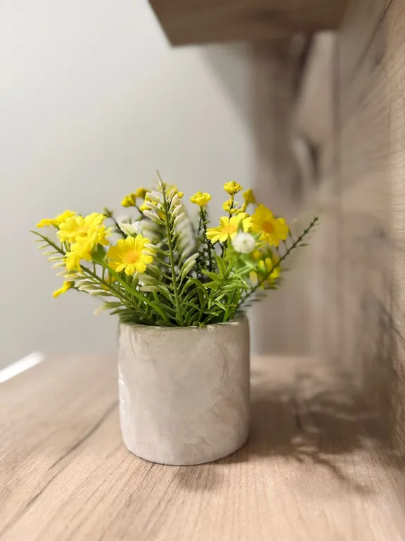 Новая уютная квартира в самом центре города