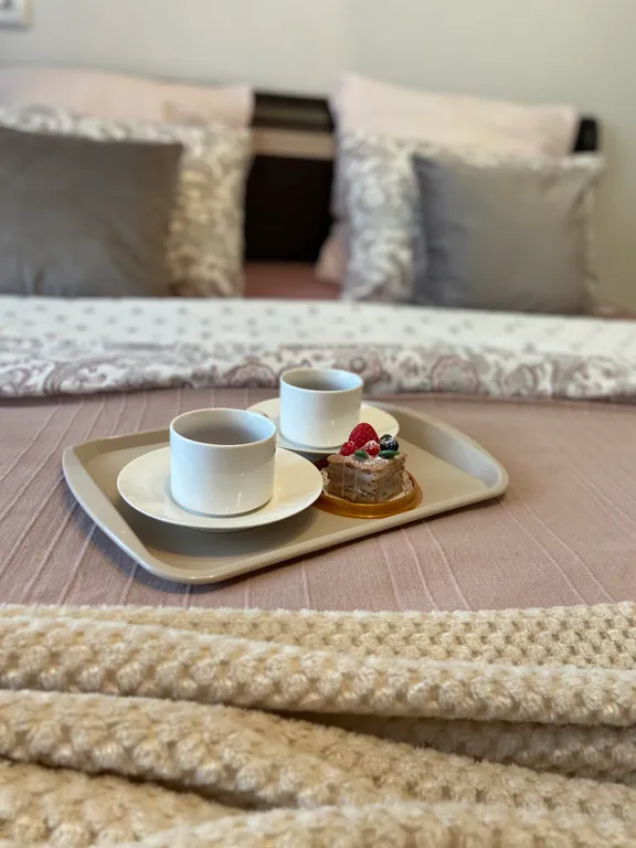 Квартира Видовая квартира с видом на Газпром Арену — Санкт-Петербург