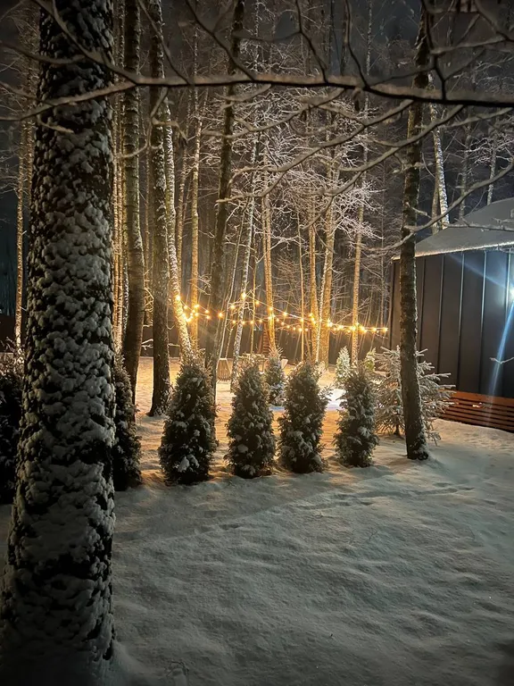 Коттедж Домик в лесу с камином и банным чаном — Москва