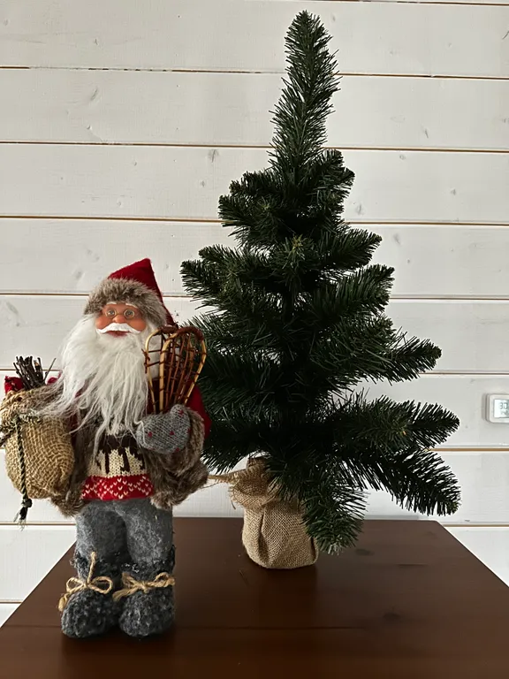 Домик близ Сорочан