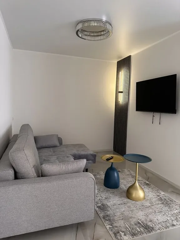 Комфортная 1-комнатная квартира