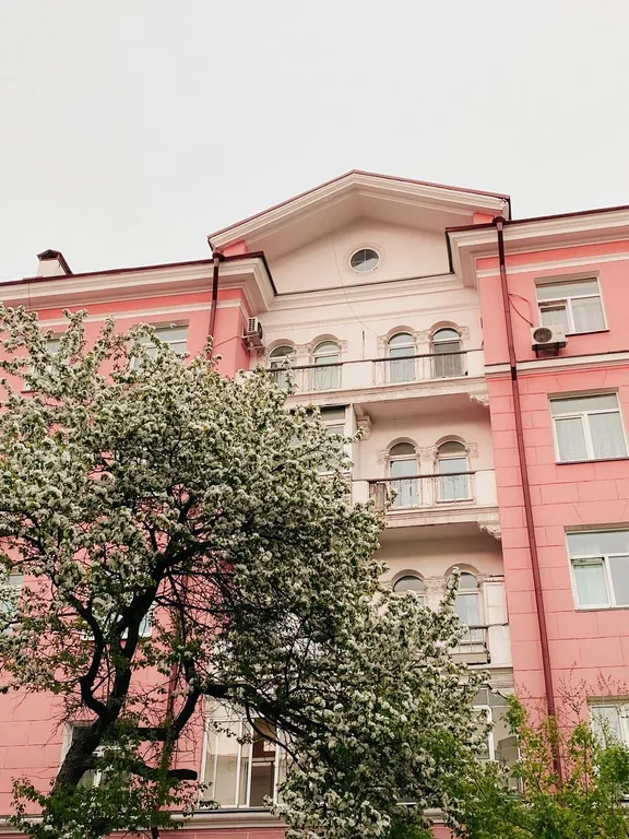 Квартира Уникальная квартира в самом центре Владивостока — Владивосток