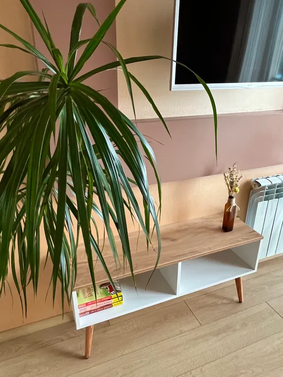 Семейные апартаменты с видом на море