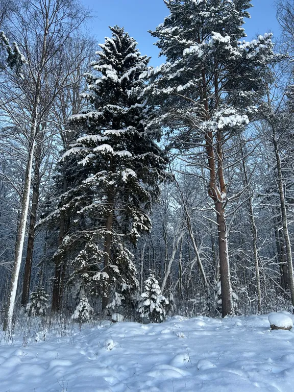 Дом Karelia Haus Онежский берег