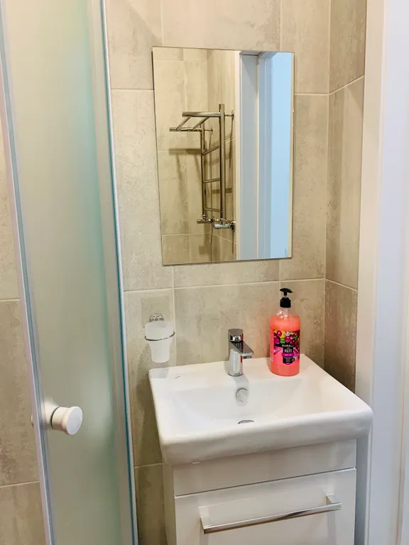 Квартира 1-комнатная Квартира — Светлогорск