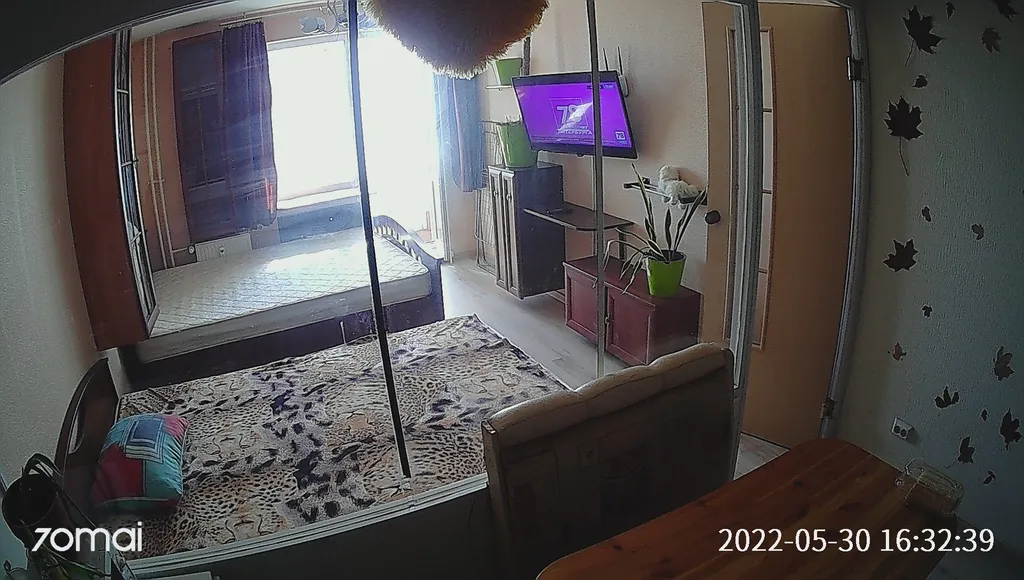 Студия у Шуваловского парка