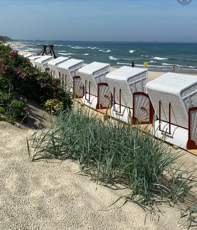 Квартира Квартира Апартамент у моря — Зеленоградск