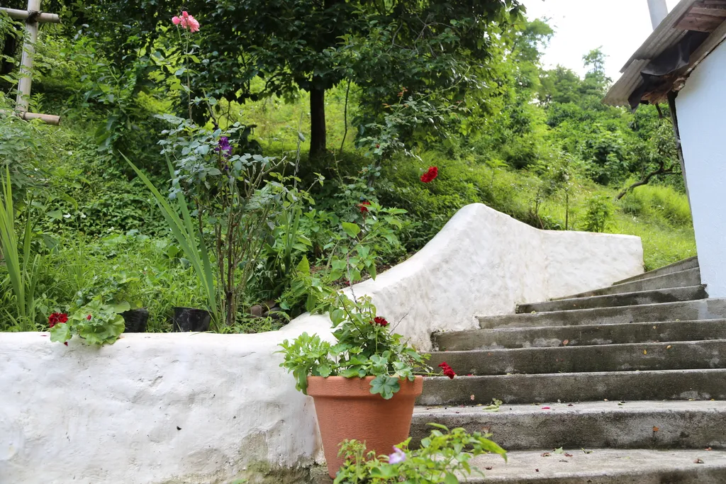 Квартира Апартаменты люкс в тихом месте недалеко от центра — Сухум