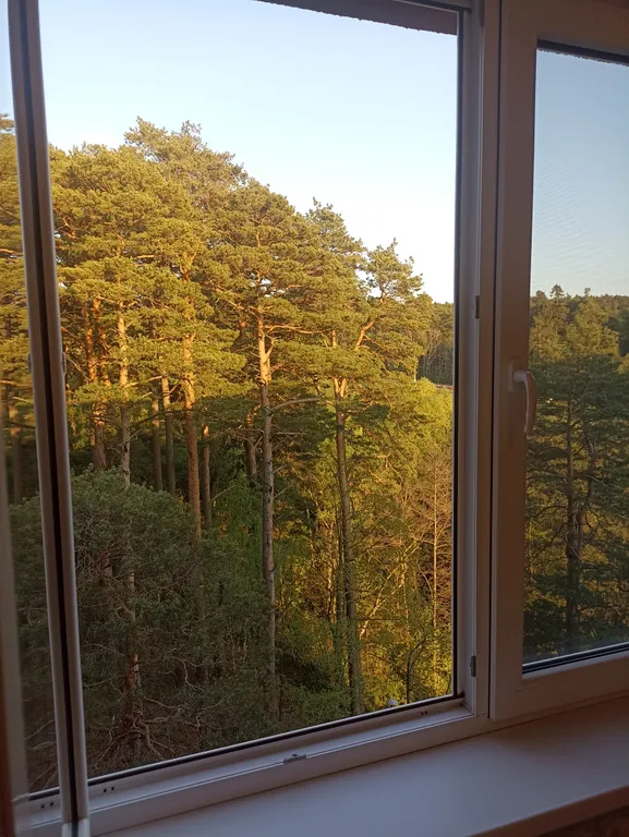 Апартаменты Greensea