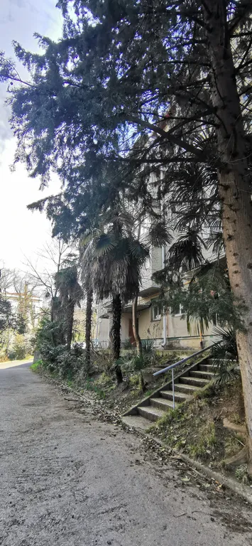 Студия в зелёном городке ввс