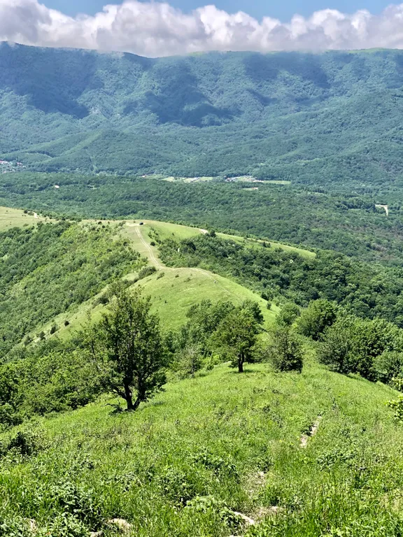 Уютная квартира рядом с морем