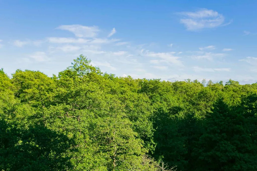 Стильная однокомнатная квартира