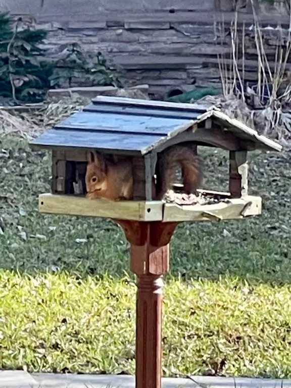 Номер с интернетом и рабочим столом