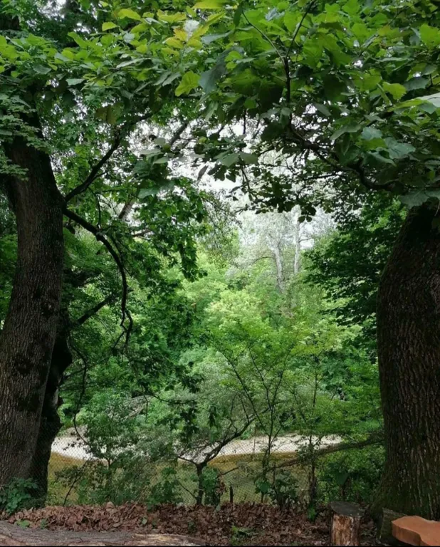 Коттедж Дом на берегу горной реки — Приреченский