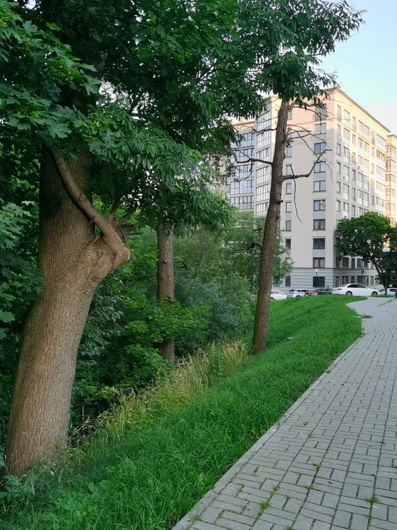 Квартира Уютная квартира рядом с центром — Калининград