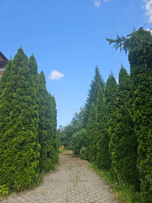 Большой дом в черте города