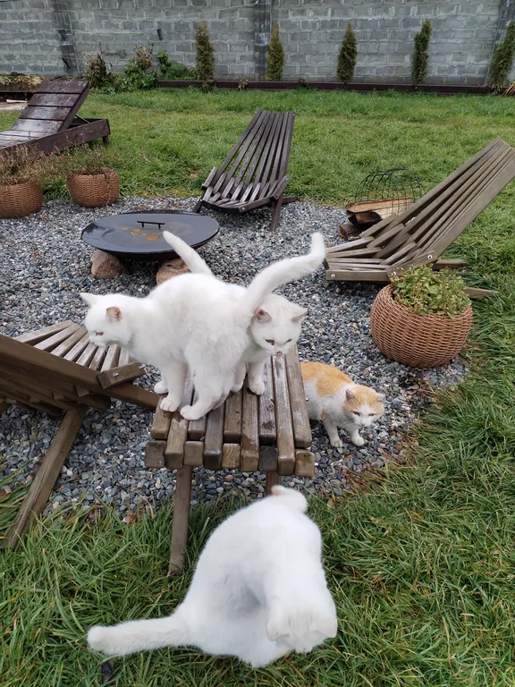 Дом с камином усадьба Айsun