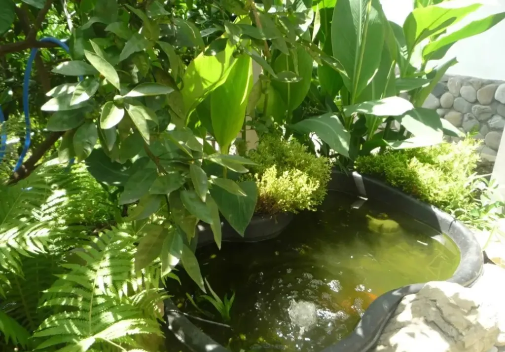 Домик с бассейном и видом на море