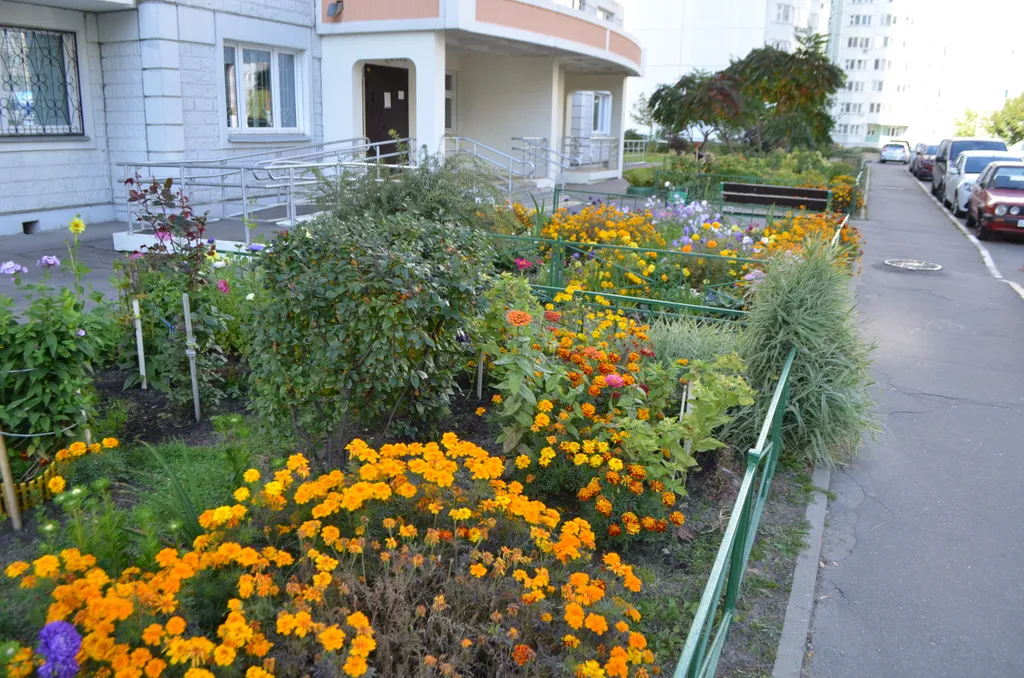 Квартира в ЖК Центр 2