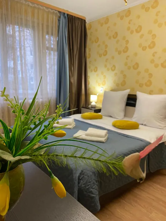 Квартира Уютная однушка в центре с двумя кроватями — аренда посуточно в Шуя