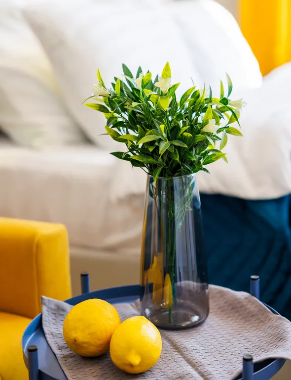 Уютная кино-студия с проектором