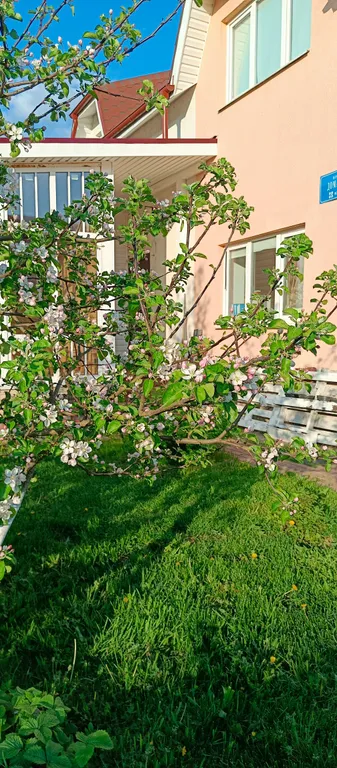 Коттедж Гостевой дом Гармония — Первомайское