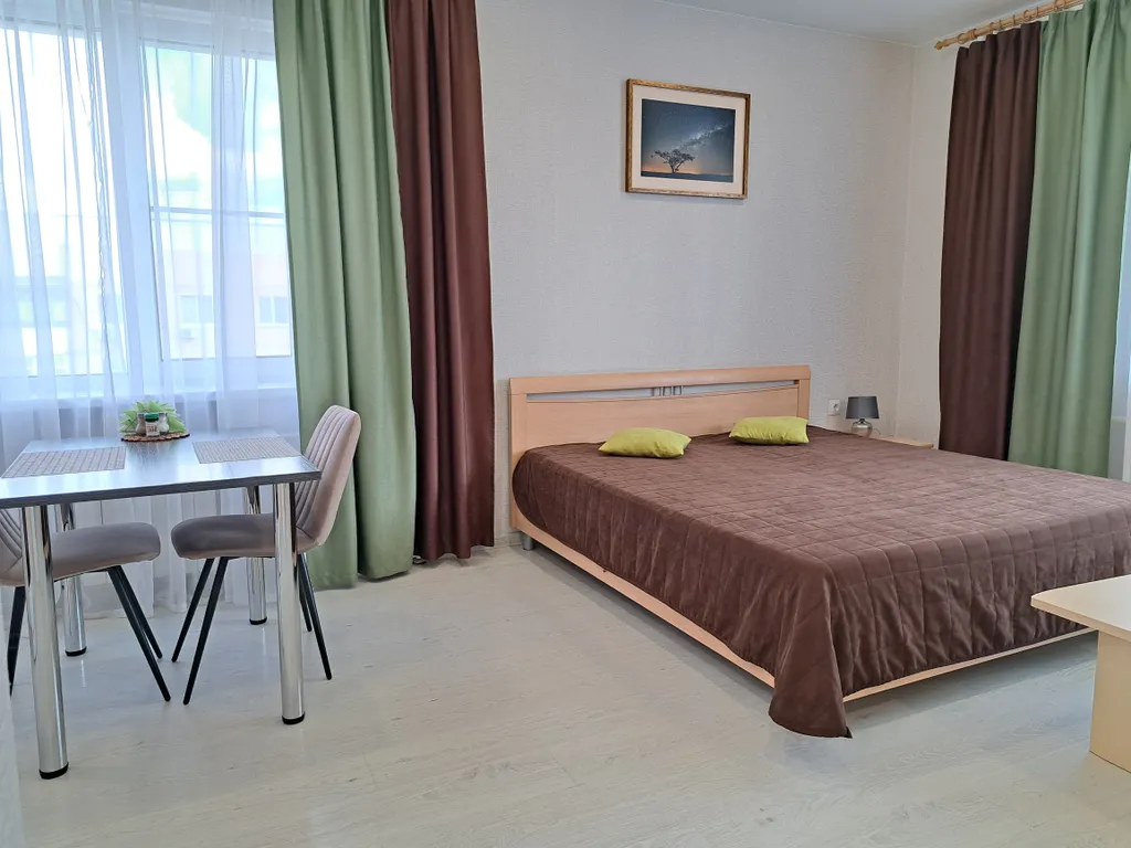 Студия на Псковской с большой кроватью