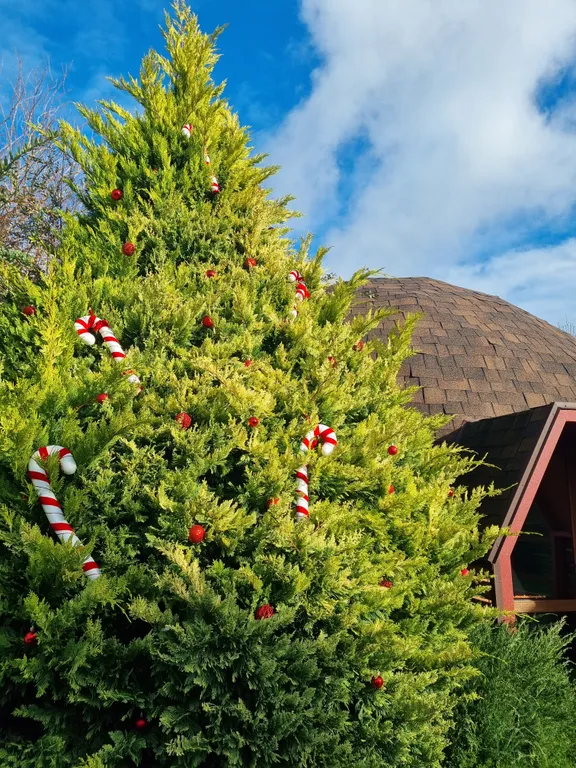 Уникальный двухкупольный дом-бунгало