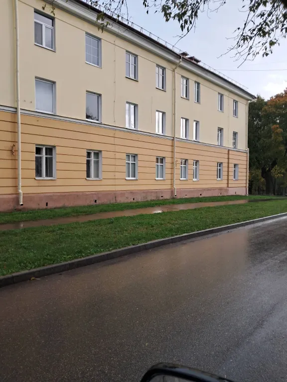 Цветочное настроение в центре города