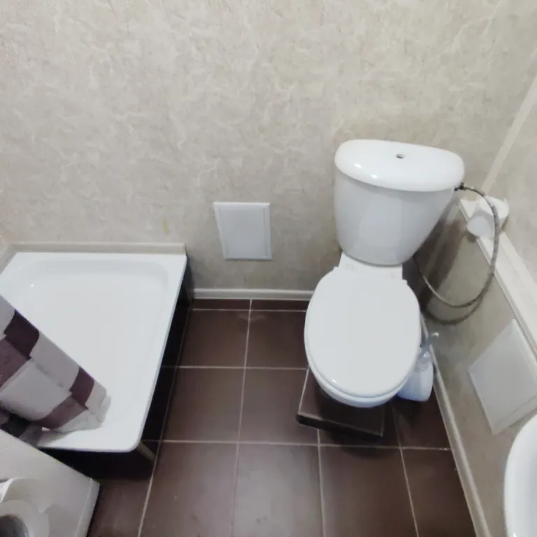 Студия в квартире с персональным санузлом и кухонным блоком