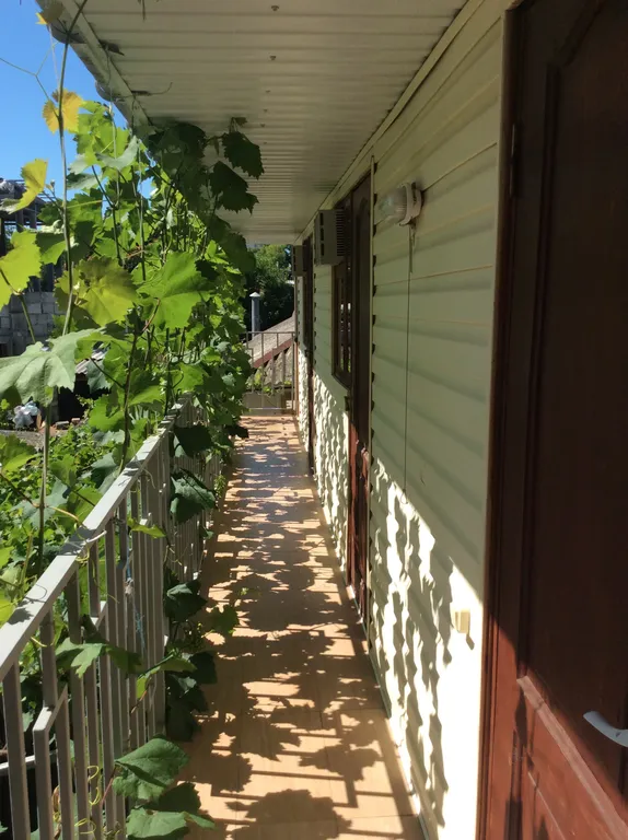 Бюджетные номера у моря